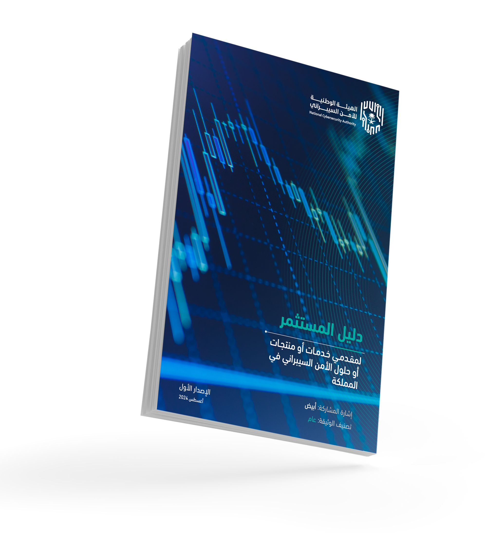 دليل المستثمر لمقدمي خدمات أو حلول أو منتجات الأمن السيبراني